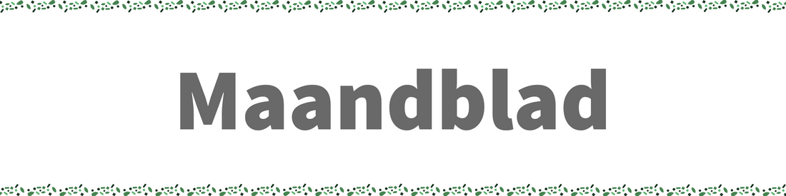Maandblad - November-December 2023 - Feestdagen 🎁🎄