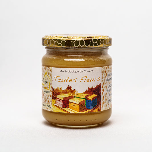 La Ruche à Six Pattes -- Miel toutes fleurs (origine France) - 250 g