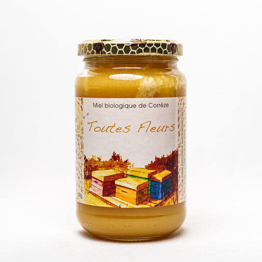 La Ruche à Six Pattes -- Miel toutes fleurs (origine France) - 500 g