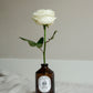 Bacanha -- Sirop de rose brut bio - 400 ml