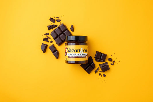 Yacon & Co -- Pâte à tartiner Cacao Noisette - 200 g