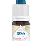Deva -- Chataigner bio - sweet chestnut n°30 - 15 ml