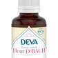 Deva -- Chataigner bio - sweet chestnut n°30 - 30ml