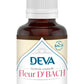 Deva -- Chicoree bio - chicory n°8 - 30ml