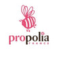 Propolia -- Presentoir comptoir bois propolia