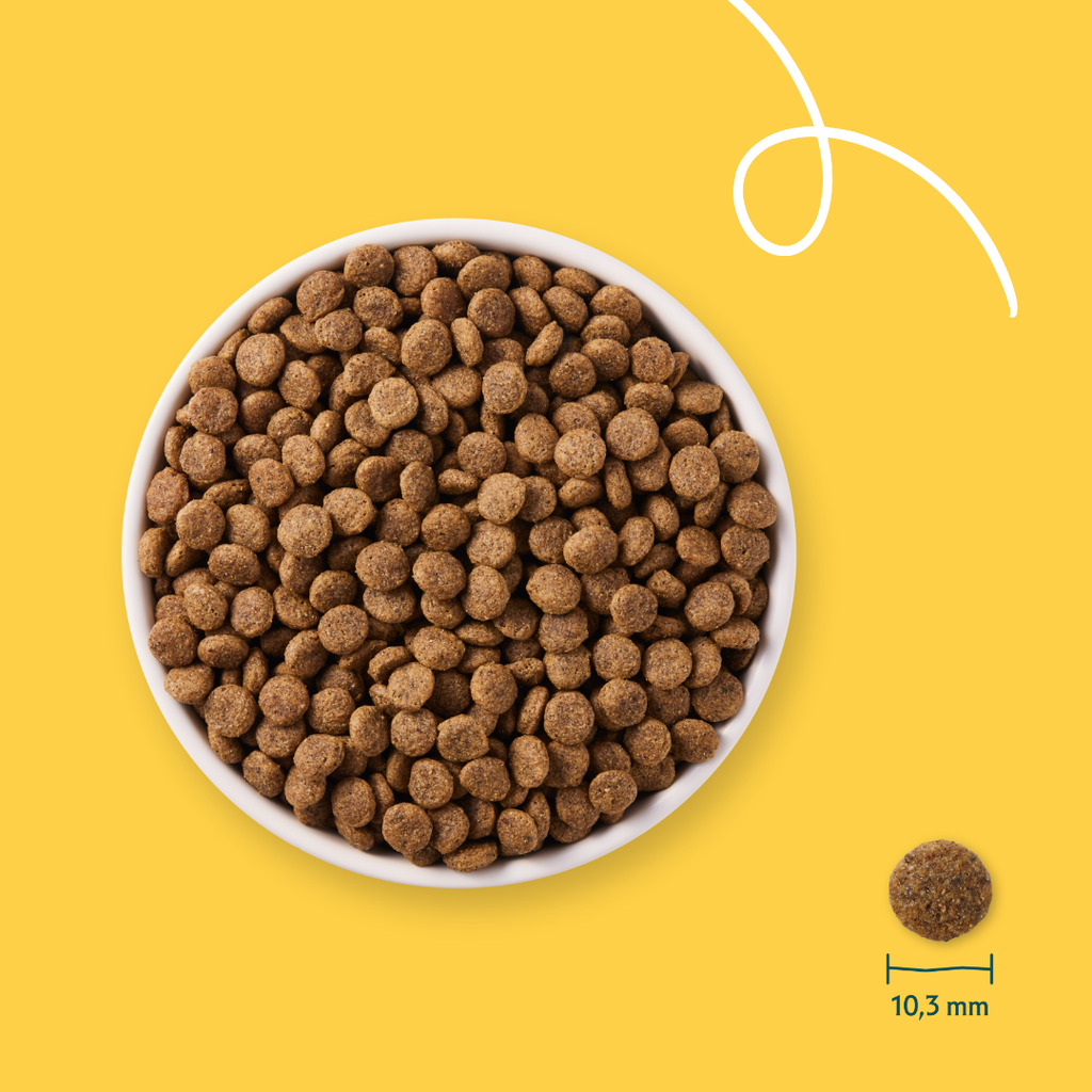 17006 - Yarrah Cat Dry Food Wheat-Free Chicken 800g - 8714265000133 - 4.webp