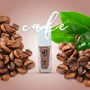 cafe-site.webp