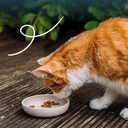 17017 - Yarrah Cat Dry Food Wheat-Free Chicken 10kg - 8714265000188 - 6.webp