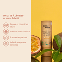argument_baume_levres_comme_avant.jpg.webp