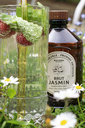 jasmin-1_800x.png.webp