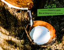 Bio et degradable final.webp