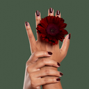 CERISE-MAINS.webp
