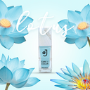 lotus-site.webp