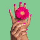 Mains-Pitaya-Pro.webp
