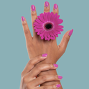 Raisin-Mains-Pro.webp