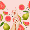 goyave.webp