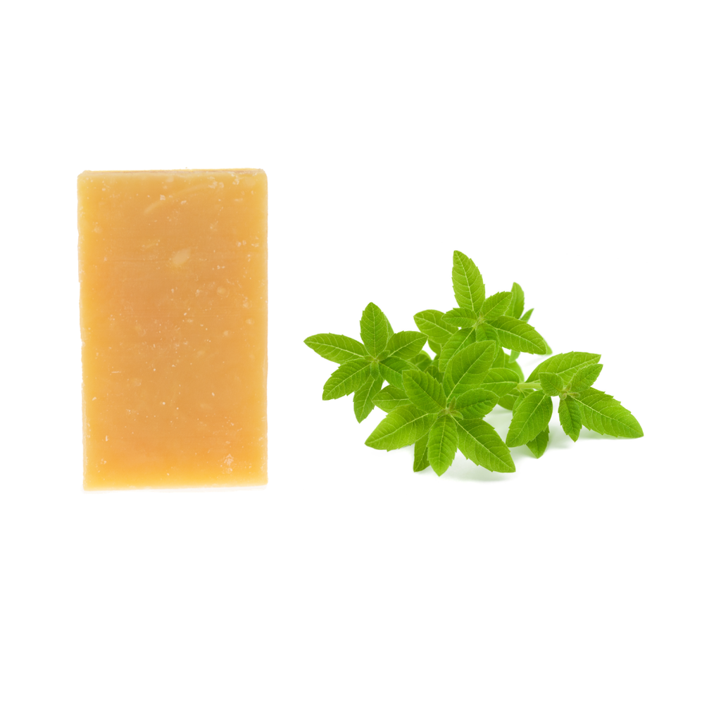 SAFVerveine.webp
